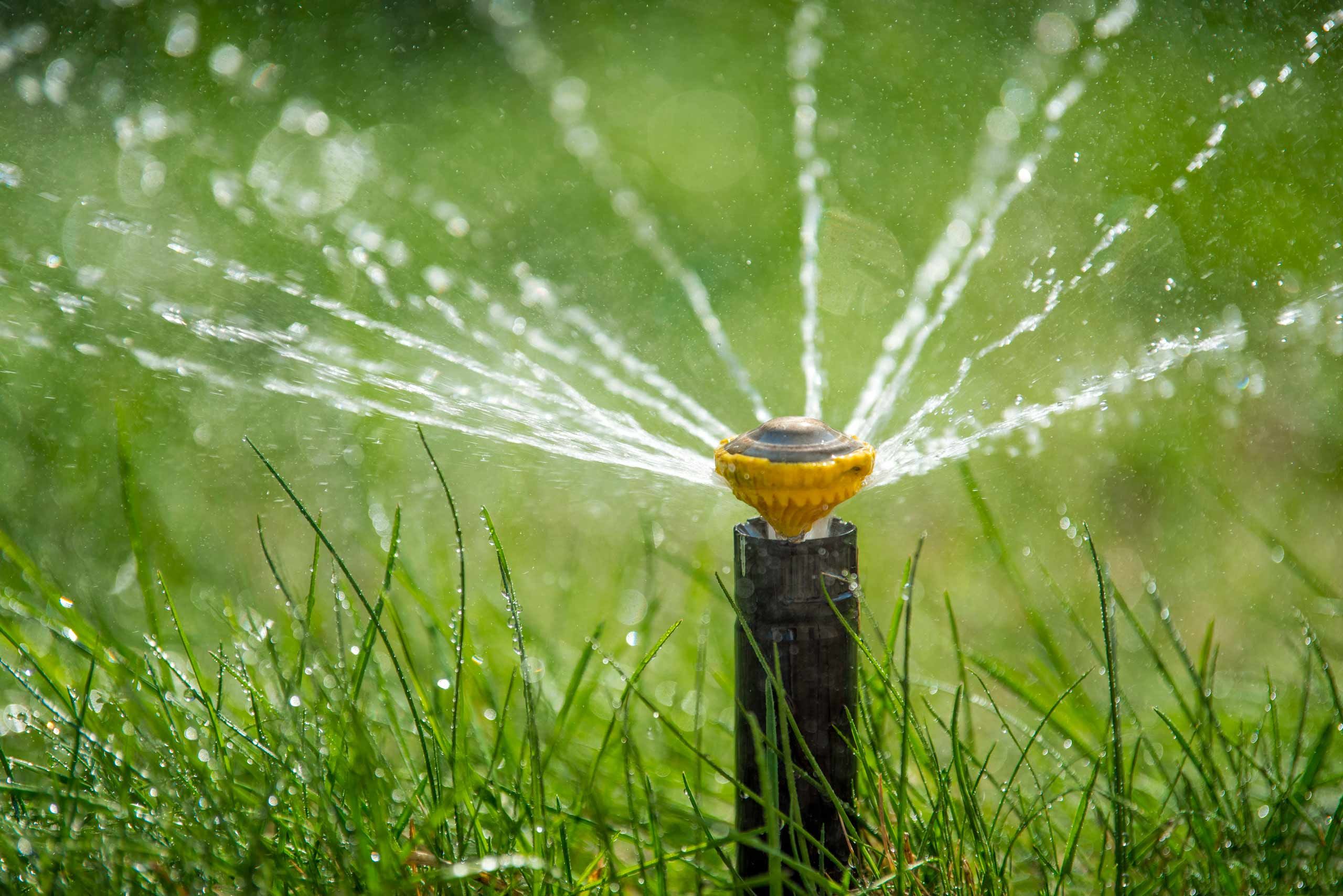 articoli irrigazione per giardini privati